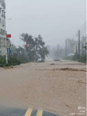 1702194237390971.jpg 1702192899217.jpg