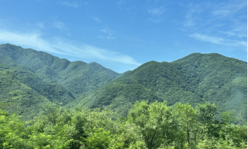 1702283643991485.jpg 1702283452541.jpg