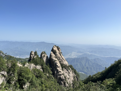 1702283694676012.jpg 1702283479315.jpg